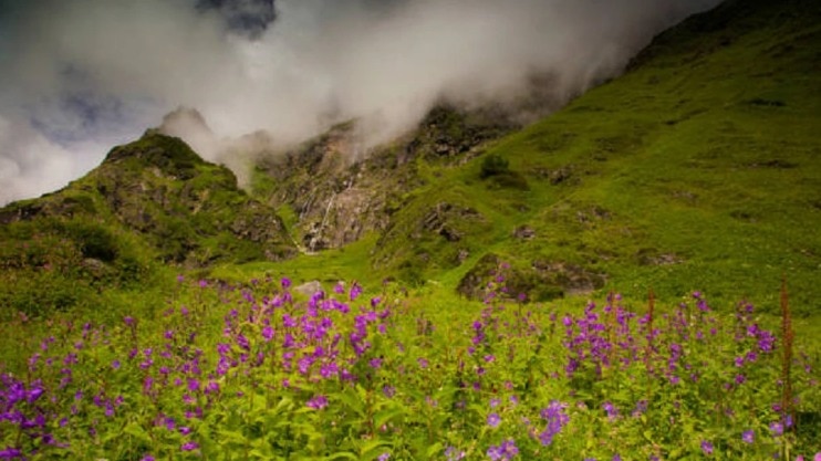 6878c0b4ce846-valley-of-flowers-172151387-16x9.png