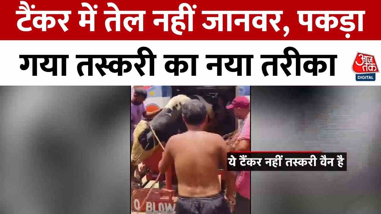 nooilinthetankerbutanimalsanewsmugglingmethodcaughtinbilaspur-s0-original-sixteen-to-nine.jpg