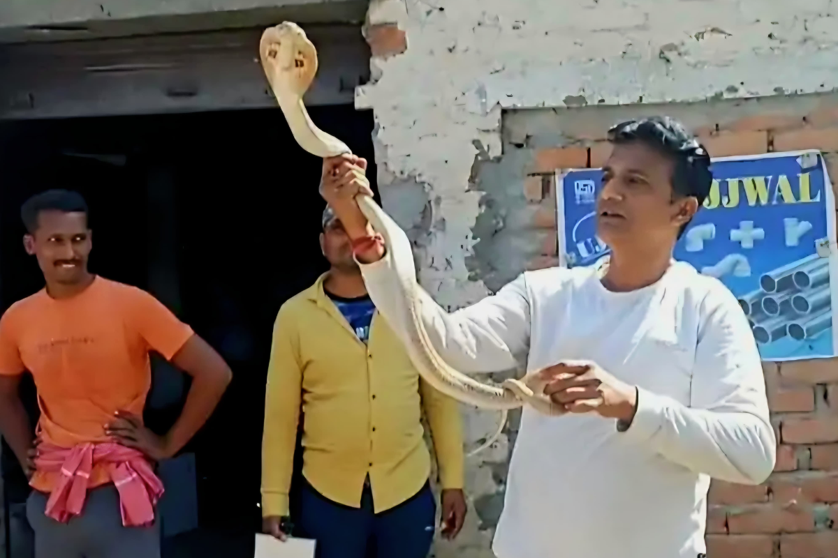 vaishali-snake-man-video-.png