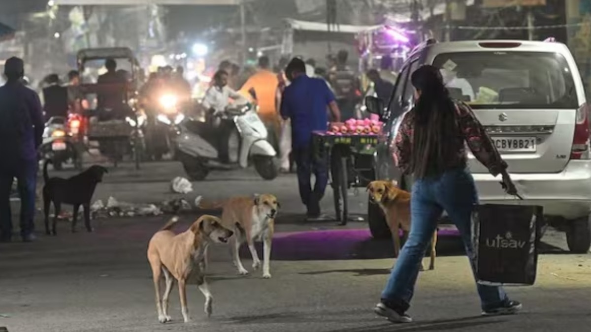 6899f1f68532a-sc-order-on-stray-dogs-in-delhi-ncr-113648337-16x9.png