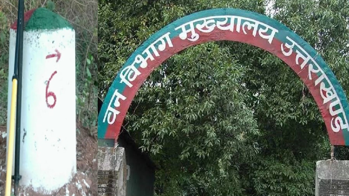 68a8ca58312f6-uttarakhand-forest-department-225146299-16x9.jpg