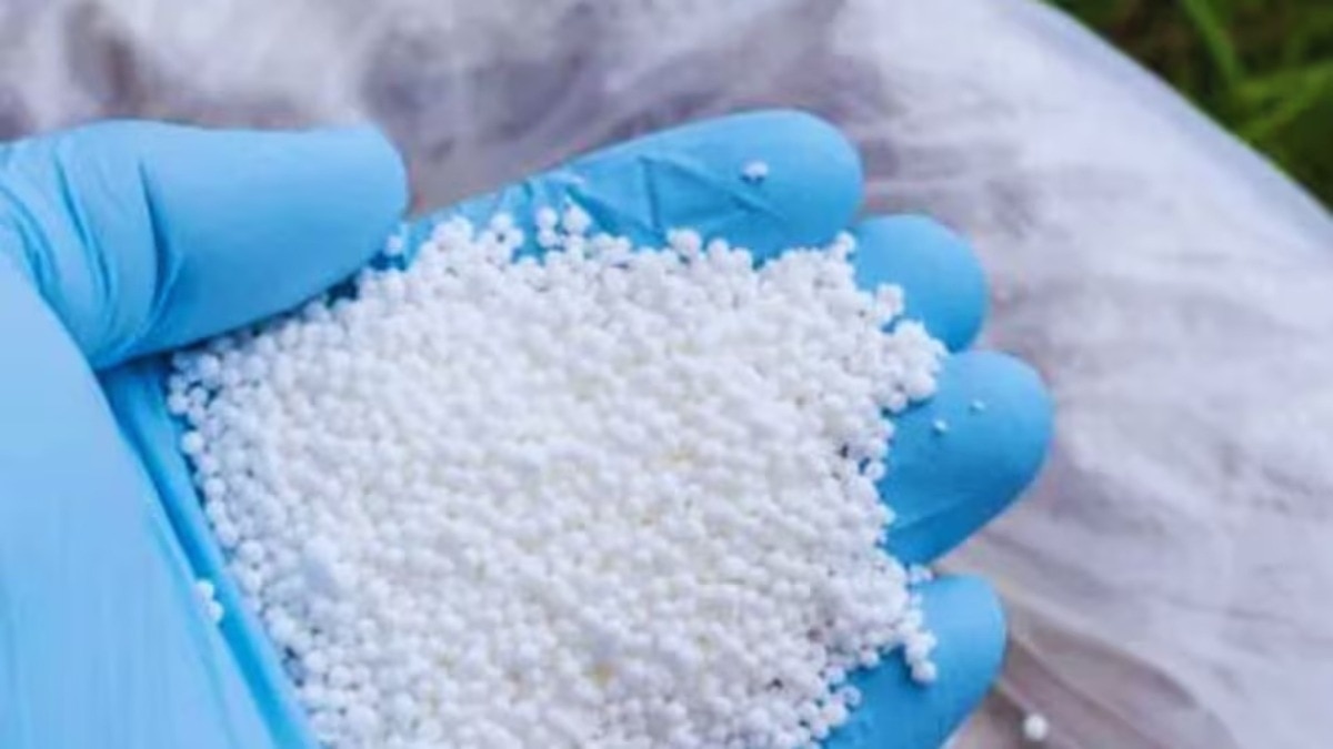 69c0161fa8f3a-urea-crisis-india-221730326-16x9.jpg