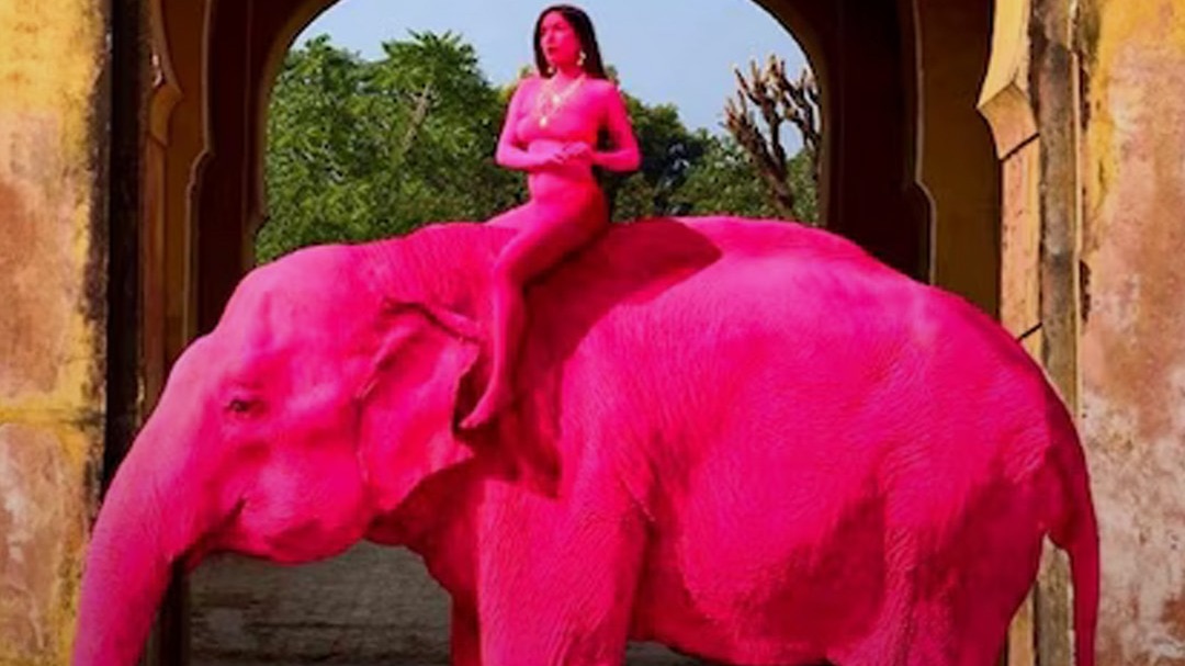 69cd255ebf432-japiur-model-pink-elephant-row-010201161-16x9.jpg